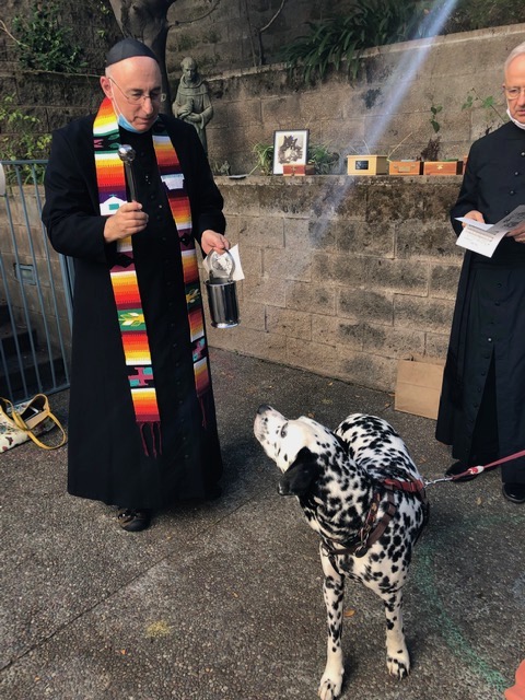 Blessing of the Animals in honor of Saint Francis of Assisi